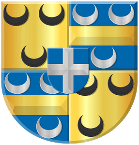 Johan II van Duvenvoorde heer van Warmond wapen