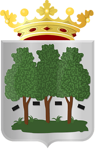 Coat of arms of Aengwirden