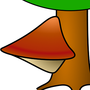 Parasitic fungus