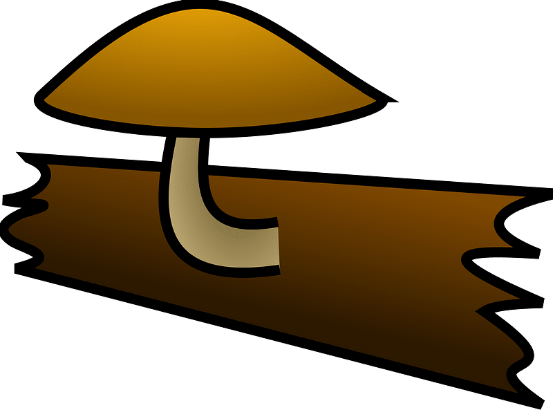 Saprotrophic fungus