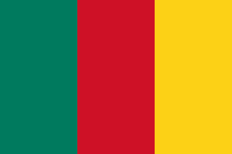 Flag of Cameroon (1957-1961)