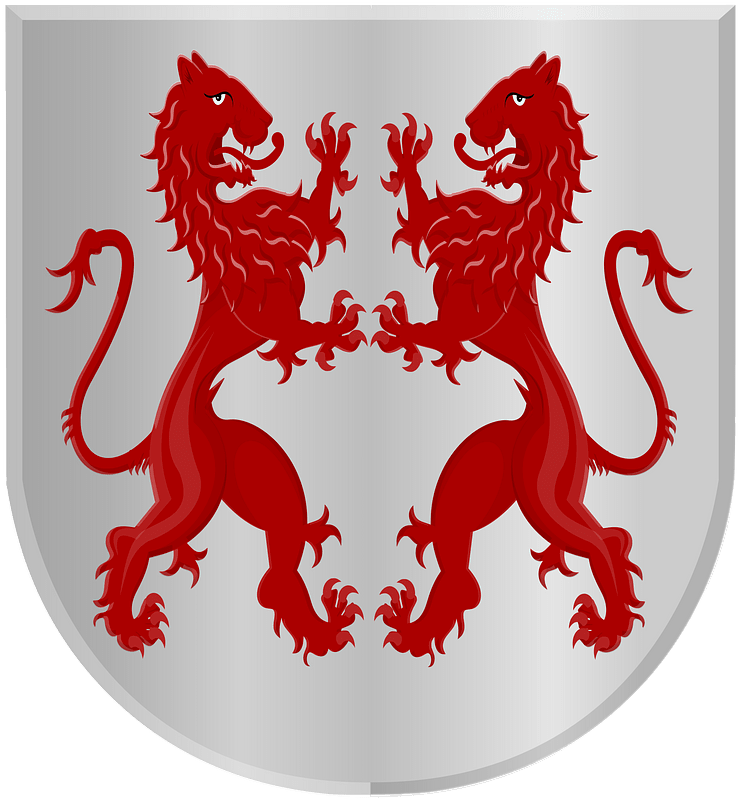 Wapen de Jong
