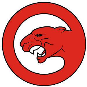 Insignia Hungary Army 101st Home Air Defence Fighter Wing