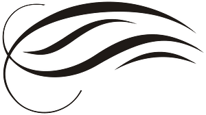 Four Lines Ornament Black Down Left
