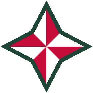 48th Division Shoulder Patch