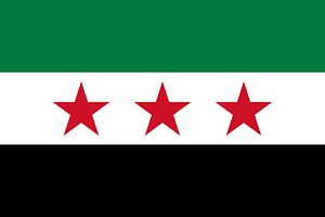 Flag of Syria 2011, observed