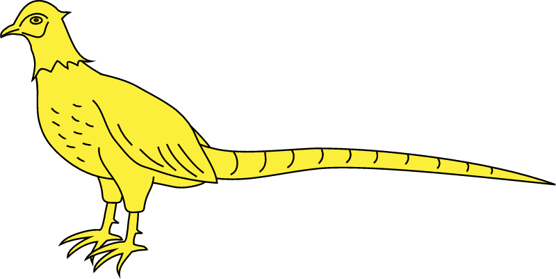 Heraldic Pheasant