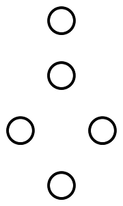 A2 1101 puer