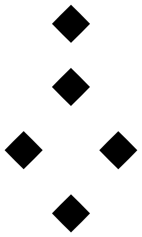 A3 1101 puer