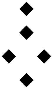 A3 1101 puer