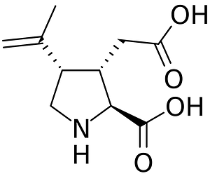 Kainic acid