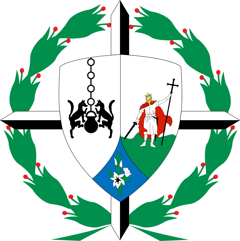 Insignia colegio inmaculada