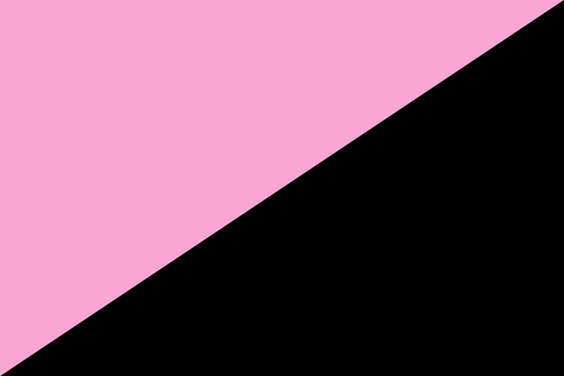 Flag of U. S. C. Palermo