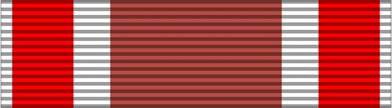 LTU Volunteer Forces Medal for Distinguished Service BAR