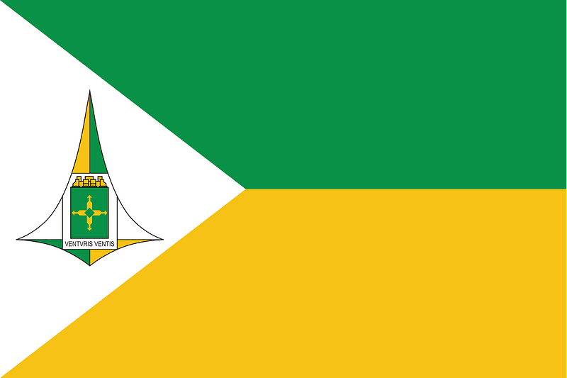 Bandeira do governador do Distrito Federal (Brasil)