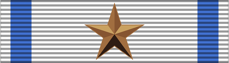 CISM Bronze Star of Sports Merit BAR
