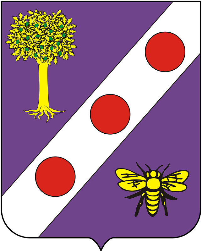 COA Baron of Oliveira Roxo