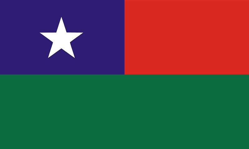 Flag of the Pa-O National Organisation