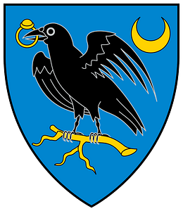 Coa Hungary Family Hunyadi v2