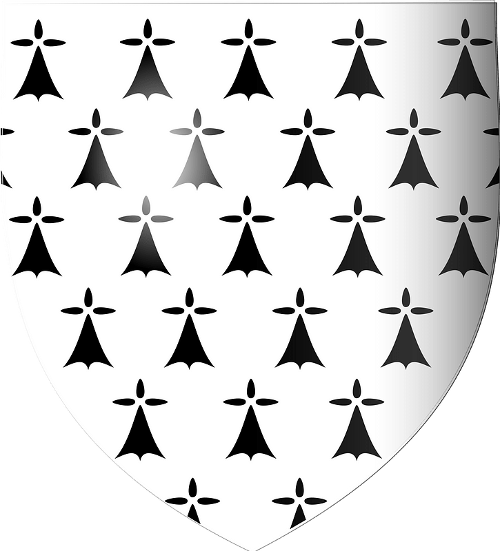 Blason de Bretagne 3d