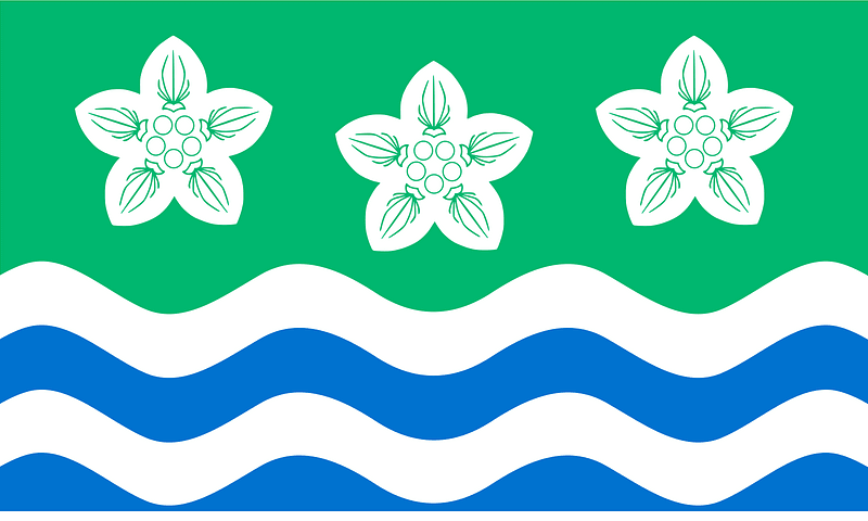 Cumberland flag