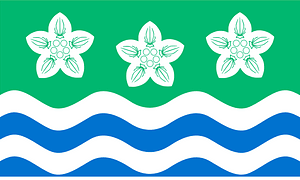 Cumberland flag