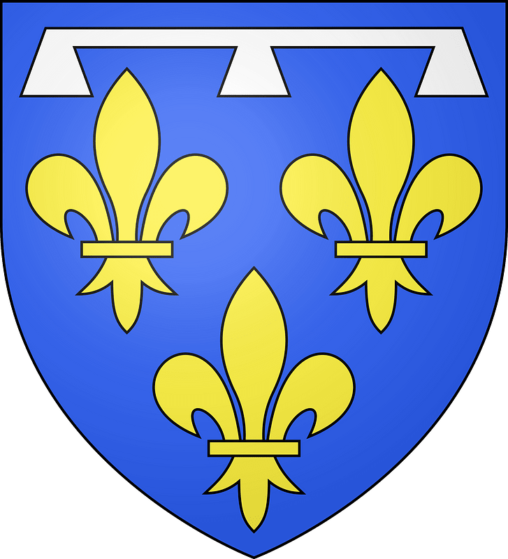 Blason duche fr Orleans (moderne)