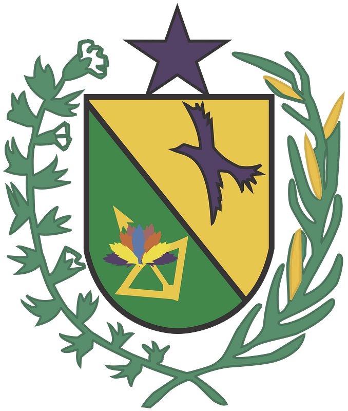 Brasao apuiarés
