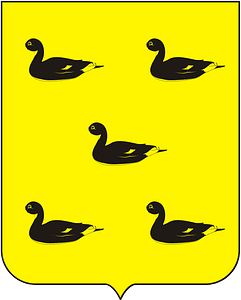 COA Baron of São João Marcos