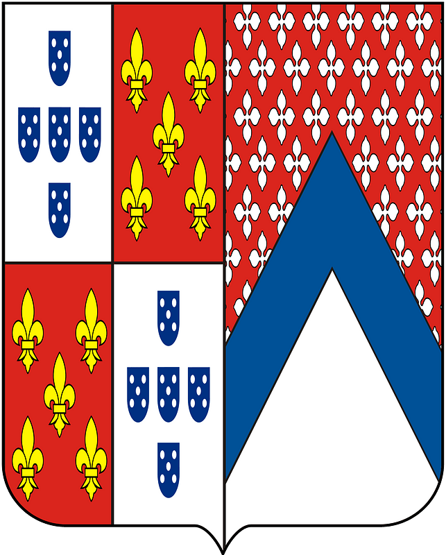 COA Viscount of Suaçuna