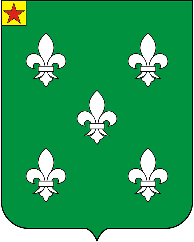 COA Viscount of Guaí