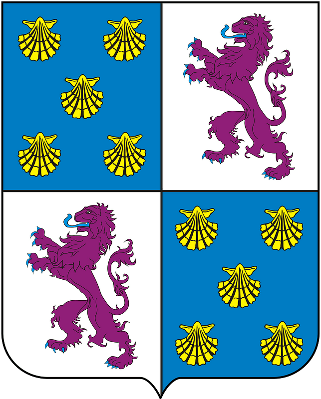 COA Viscount of Itabapoana