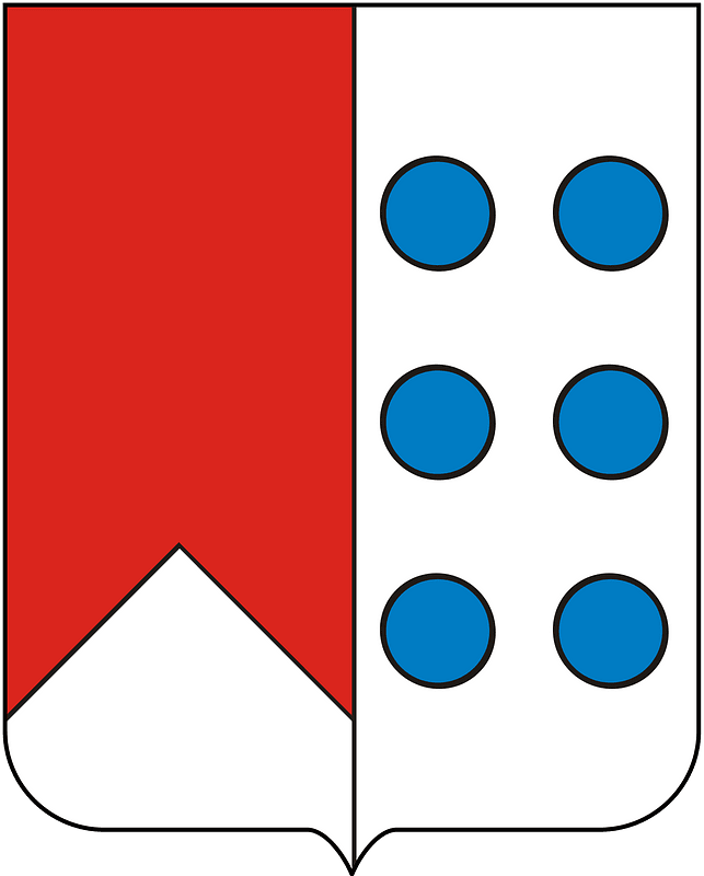 COA Viscount of Castro