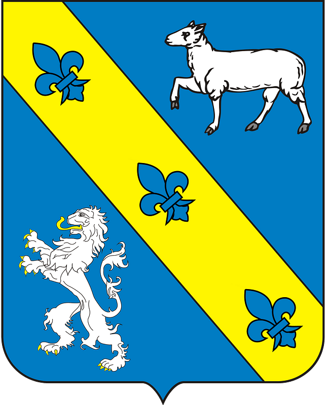 COA Baron of São João de Icaraí