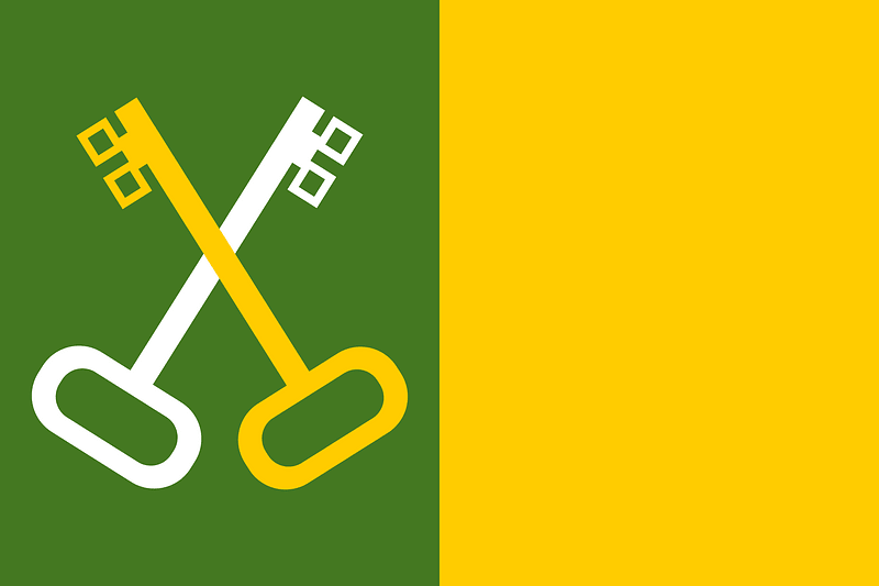 Flag of Toa Baja, Puerto Rico