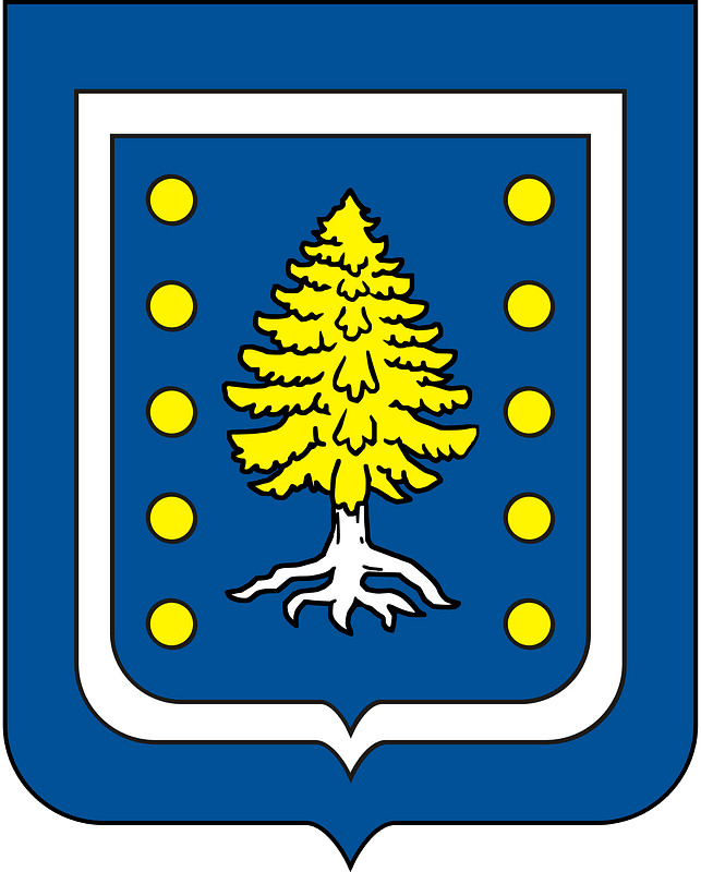 COA Viscount of Ipiabas