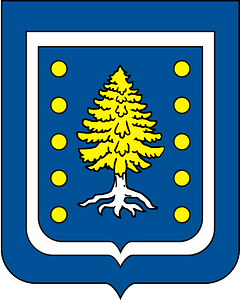 COA Viscount of Ipiabas