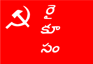 Rcsapflag