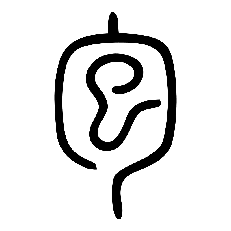 包-seal