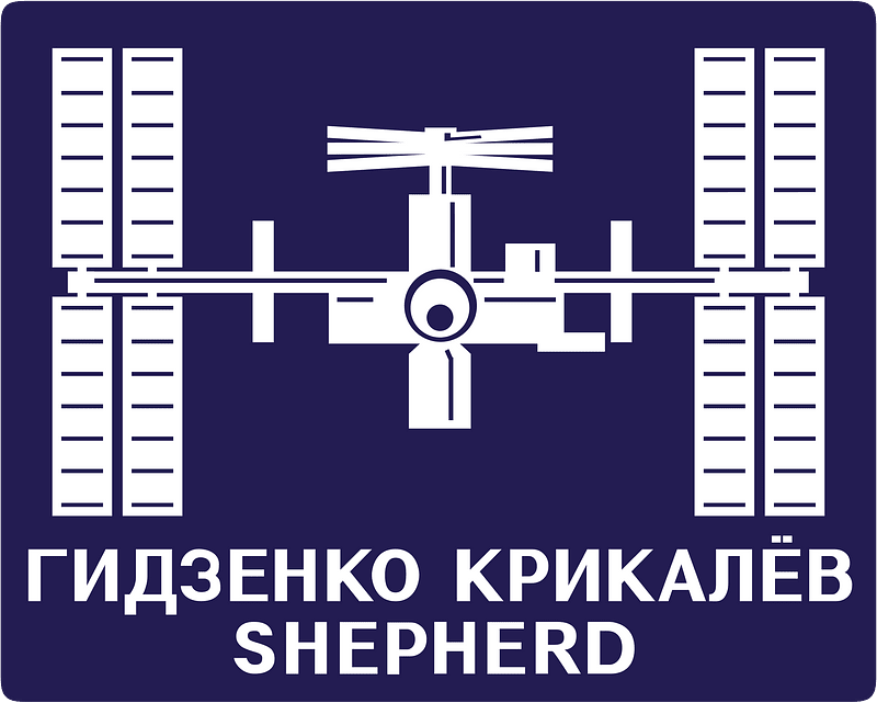 Expedition 1 insignia