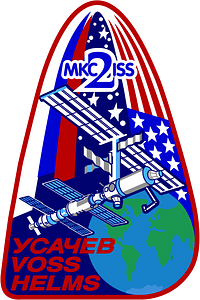 Expedition 2 insignia