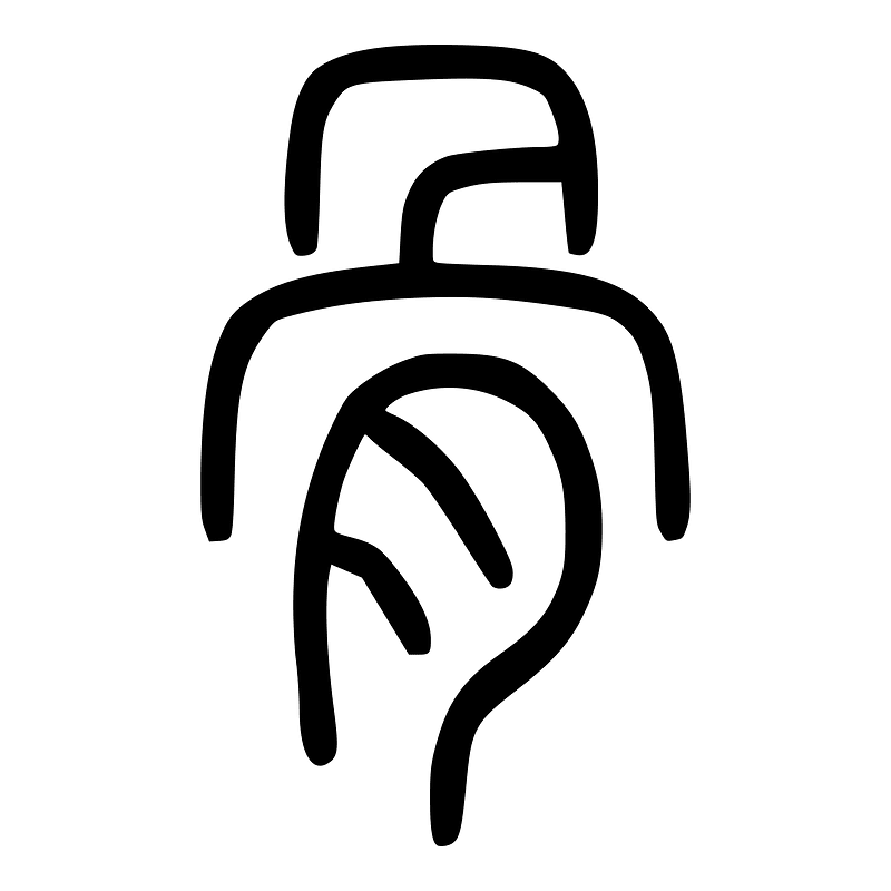 骨-seal