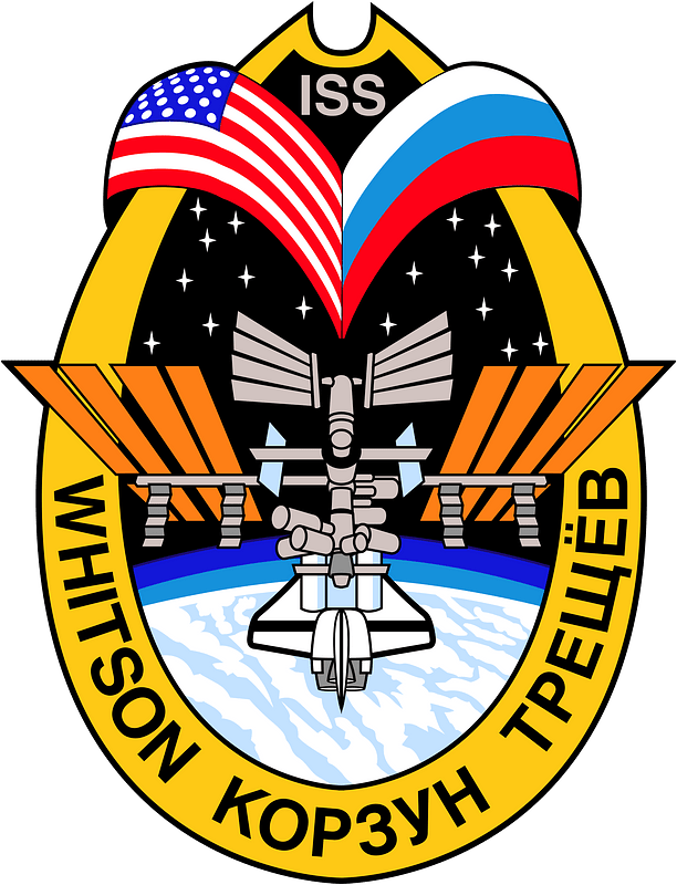 Expedition 5 insignia