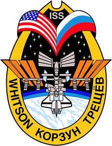 Expedition 5 insignia