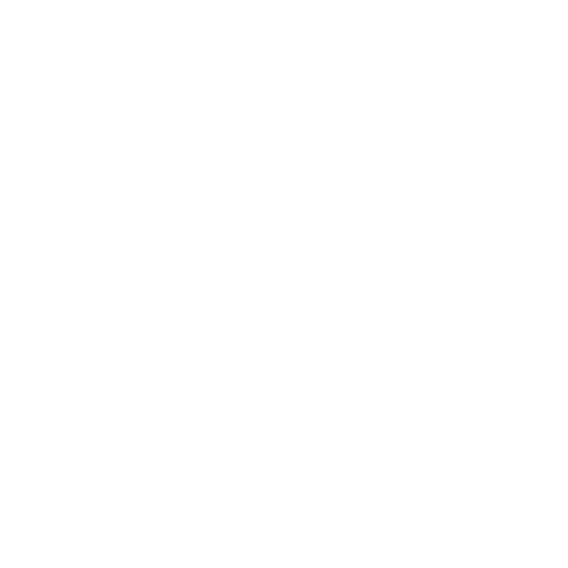 White plane icon