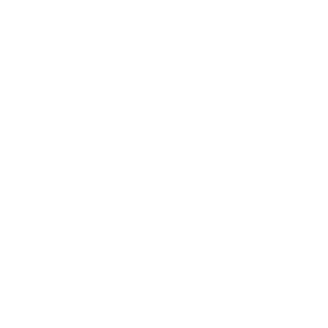 White plane icon