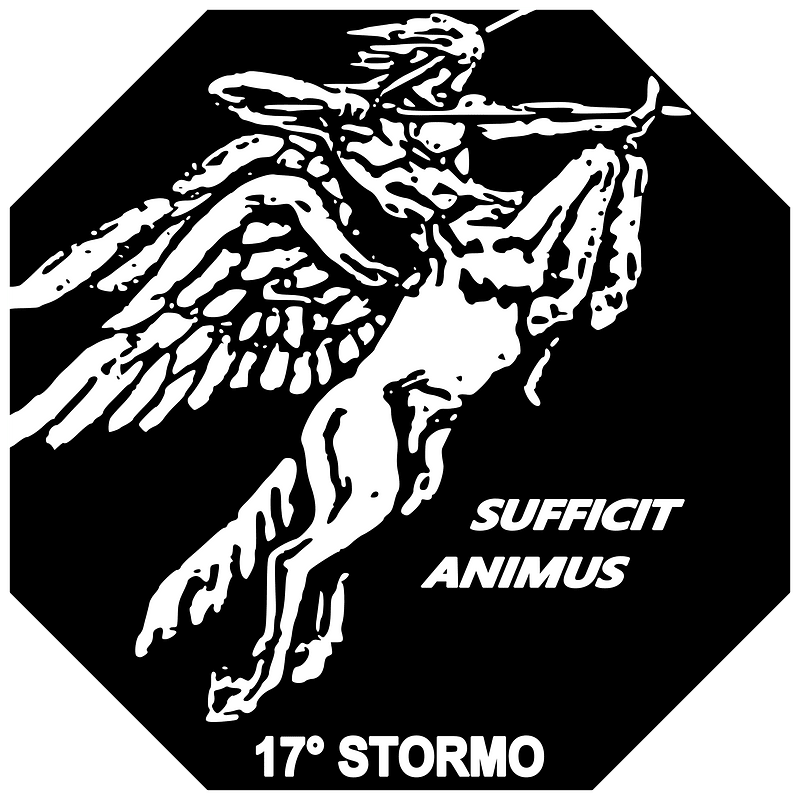 Ensign of the 17º Stormo of the Italian Air Force