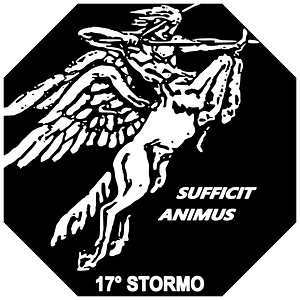 Ensign of the 17º Stormo of the Italian Air Force