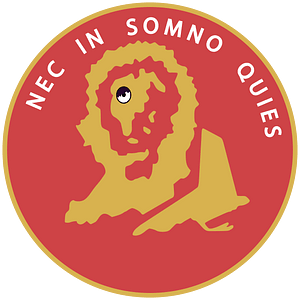 15°StormoBT-Patch