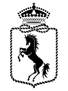 4°Stormo-Patch-withe